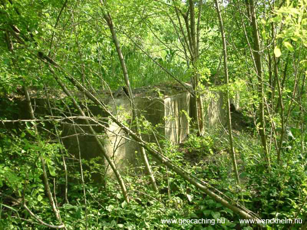 Csorvas_Nagy_majori_Wenckheim-kastely_labazata_2007.