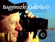 Bagyinszki Zoltán fotográfus honlapja