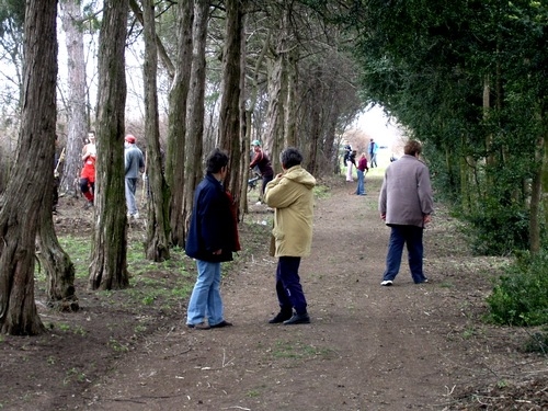 Hagyományőrző takarítás a Nagymajorban