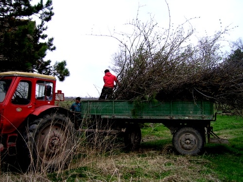 Hagyományőrző takarítás